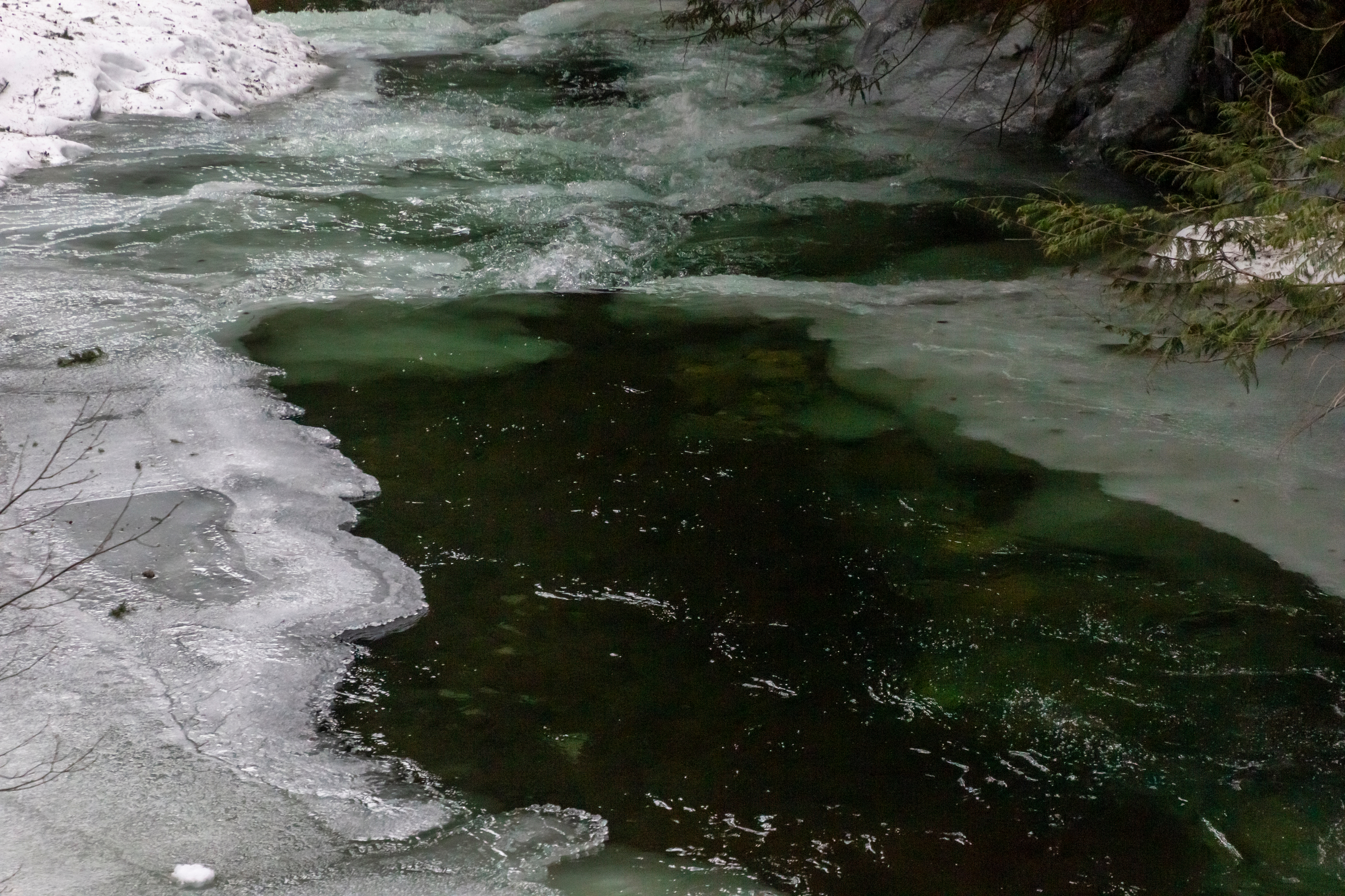 Is Lake Water Safe to Swim in?