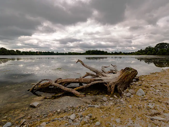 Cloudy grey day over Watkins Lake, Michigan. A large piece of driftwood sits at the water's edge.