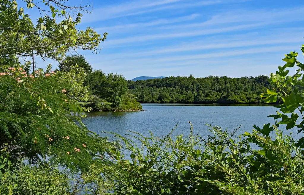 Lake Melton, surrounded by trees on a sunny day with blue skies and blue water