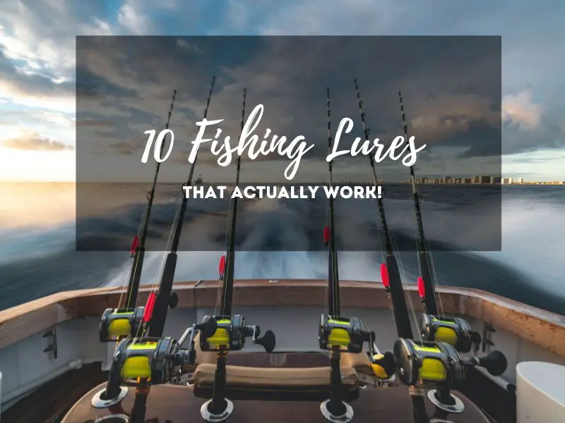 10 Fishing Lures That Actually Work!
